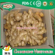 2014 New Crop Air Dried Ginger Prix le plus bas